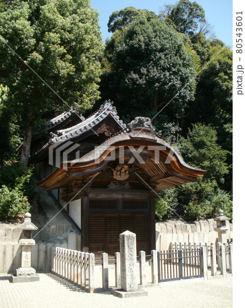 叡福寺 聖徳太子御廟 大阪府南河内郡太子町 叡福寺 聖徳太子御廟 大阪府南河内郡太子町 80543601