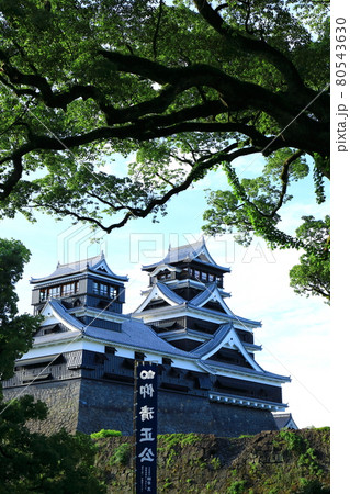 熊本城 熊本城 80543630