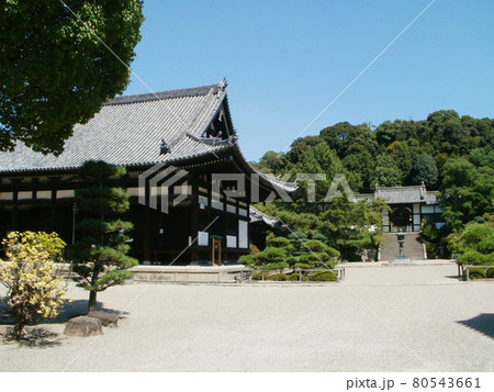 叡福寺 金堂と二天門 大阪府南河内郡太子町 叡福寺 金堂と二天門 大阪府南河内郡太子町 80543661