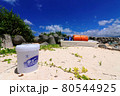 環境問題　～海洋ごみ～ 80544925