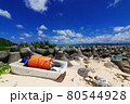 環境問題　～海洋ごみ～ 80544928
