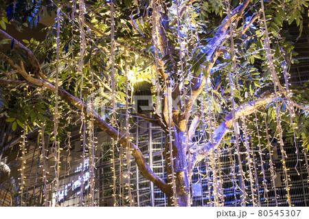 Blurred image Decorative outdoor string lights hanging on tree in the garden at night time 80545307