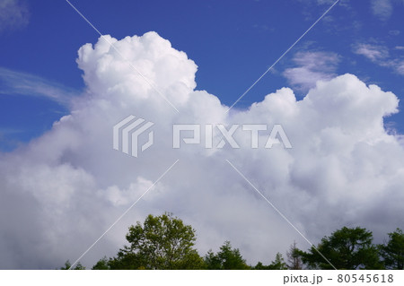 霧ヶ峰の入道雲 霧ヶ峰の入道雲 80545618