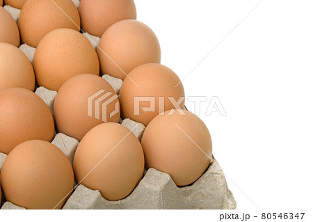 Eggs in the egg panel on white background Eggs in the egg panel on white background 80546347