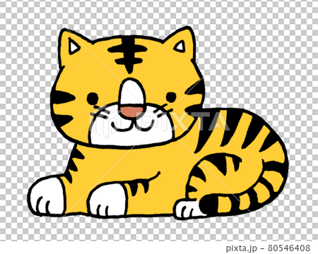 一隻躺著的老虎的鬆散手繪插圖 80546408