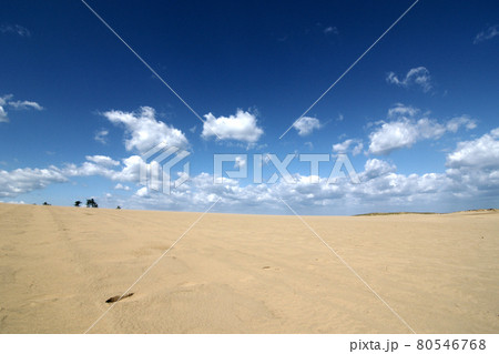 鳥取　四季の散歩　秋　砂丘 80546768