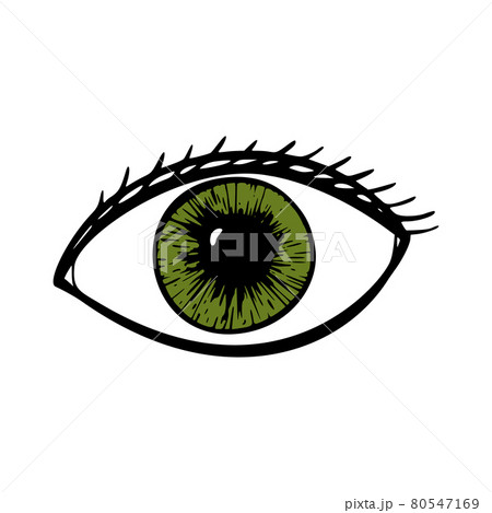 Contact lenses health care vector illustration. Ophthalmology cartoon icons set. Contact lenses health care vector illustration. Ophthalmology cartoon icons set. 80547169