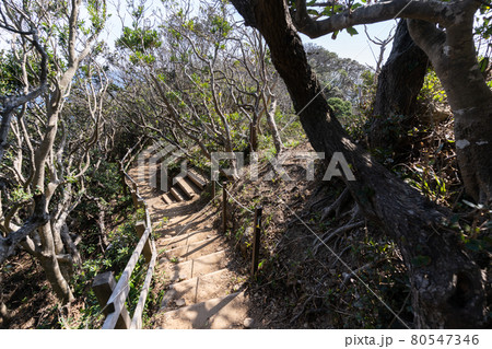 【静岡県】　龍宮窟 80547346