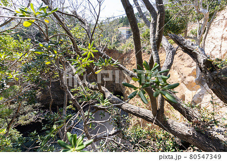 【静岡県】　龍宮窟 80547349