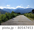 夏の山道 80547453