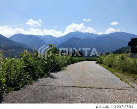 夏の山道 夏の山道 80547453
