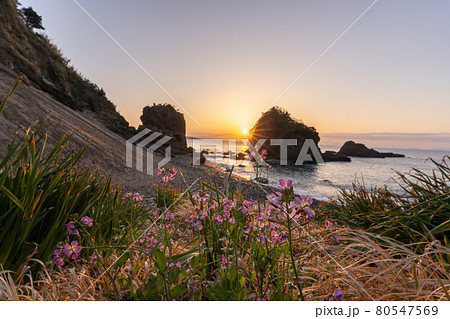 【静岡県】　龍宮窟　日の出 80547569