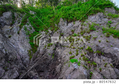 親不知海岸の断崖絶壁【糸魚川ジオサイト】 80547632