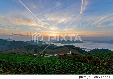 空 山 風景 80547774