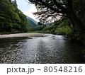 木陰の水辺 80548216