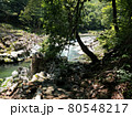 木々と小川 80548217