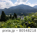 夏の緑と山 80548218