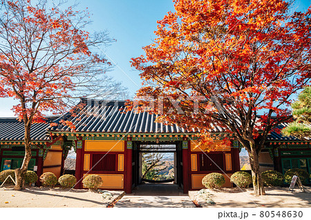 Autumn of Buseoksa Temple in Yeongju, Korea 80548630