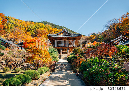 Autumn of Buseoksa Temple in Yeongju, Korea Autumn of Buseoksa Temple in Yeongju, Korea 80548631