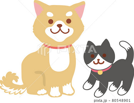 柴犬とタキシード猫_全身像 80548901