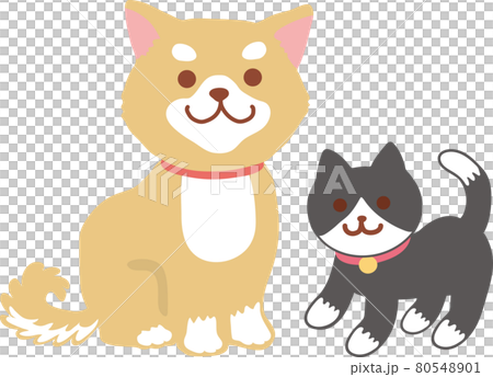 柴犬とタキシード猫_全身像 80548901