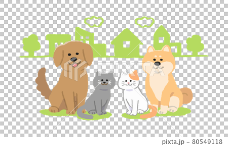 街並みをバックにお座りする犬と猫(手描きカラー) 街並みをバックにお座りする犬と猫(手描きカラー) 80549118