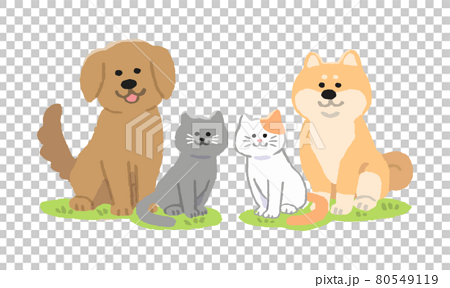 お座りする犬と猫 手描きカラー のイラスト素材
