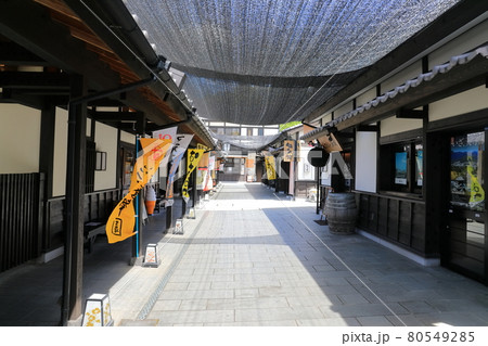 【熊本県】晴天下の熊本城　桜の小路 80549285