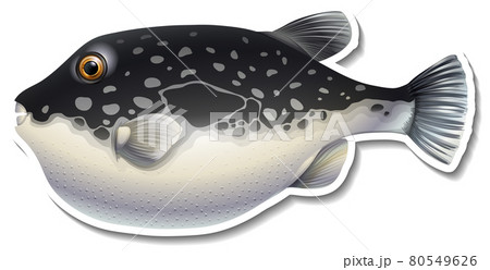 Puffer fish cartoon sticker on white background Puffer fish cartoon sticker on white background 80549626