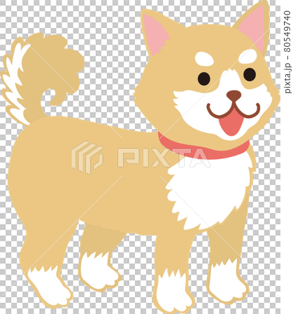 柴犬_站著 80549740
