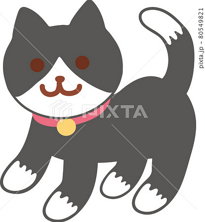ハチワレ白黒タキシード猫のイラスト素材 [80549821] - PIXTA
