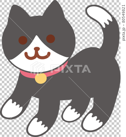 ハチワレ白黒タキシード猫のイラスト素材 [80549821] - PIXTA