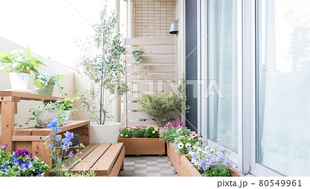 ベランダガーデニング・植物・花 80549961