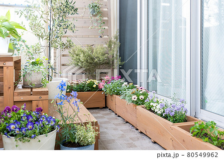 ベランダガーデニング 植物 花の写真素材