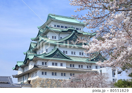 金鯱ない名古屋城（愛知県 名古屋市　2021年） 80551629