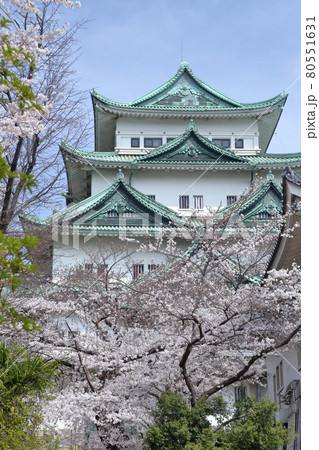 金鯱のない名古屋城と本丸御殿（愛知県 名古屋市　2021年） 80551631