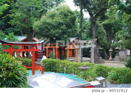 生國魂神社境内社の風景 生國魂神社境内社の風景 80552912