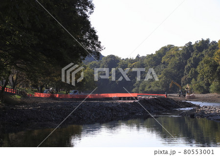 巾着田にて：2019年11月 80553001