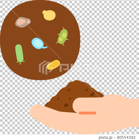 Image of hand scooped soil and bacteria 80554392