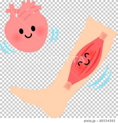 Heart and calf muscle character Heart and calf muscle character 80554393