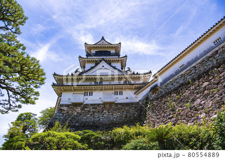 高知県お城　　高知城 80554889