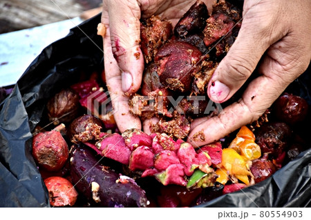 Fruits and vegetables are being prepared to compost organic fertilizer Fruits and vegetables are being prepared to compost organic fertilizer 80554903