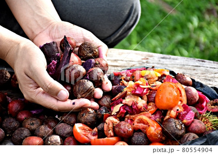 Fruits and vegetables are being prepared to compost organic fertilizer Fruits and vegetables are being prepared to compost organic fertilizer 80554904