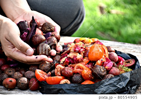 Fruits and vegetables are being prepared to compost organic fertilizer 80554905