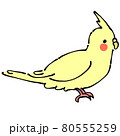 黄色のオカメインコ　横 80555259