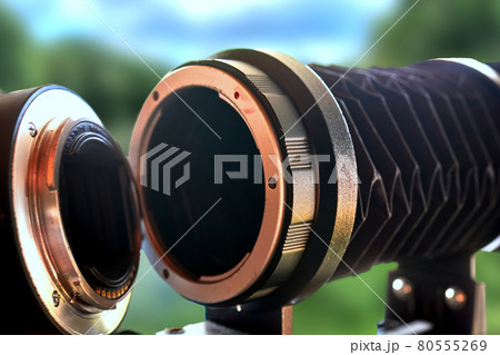 A photo lens is screwed onto the bellows to be able to take macro pictures 80555269