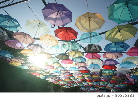 アンブレラスカイ　SUN SKY HITATITAGA 80555333