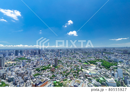東京風景 2021年 青空と緑と地平線 品川 白金方面 東京風景 2021年 青空と緑と地平線 品川 白金方面 80555927