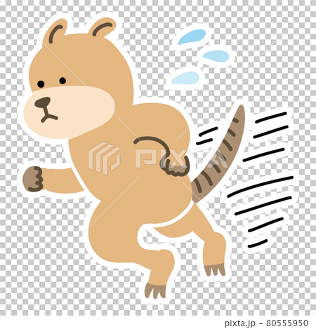 急いで走っているクアッカワラビーのベクターイラスト 80555950