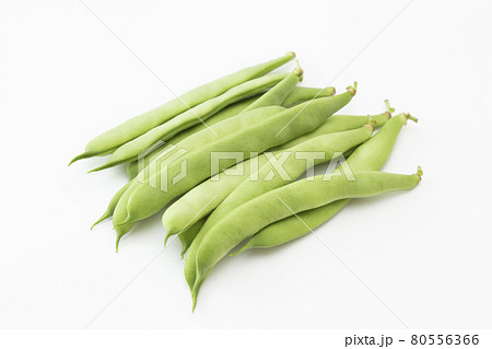 モロッコインゲン 白バック モロッコインゲン 白バック 80556366